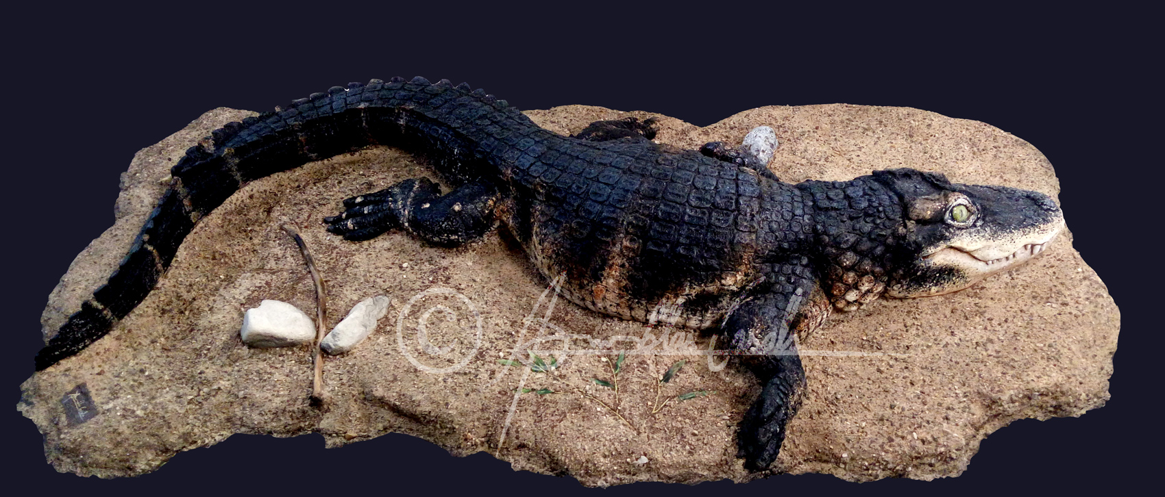 Diplocynodon muelleri reconstruction ICRA art