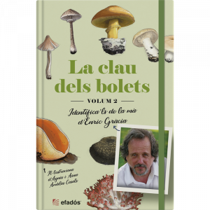 LA CLAU DELS BOLETS 2